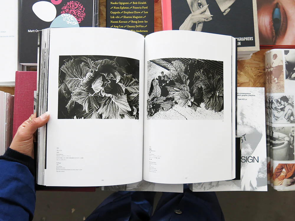 Daido Moriyama – Memories of Light - Image 6