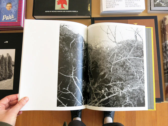 Daisuke Morishita - asterisk - Image 5