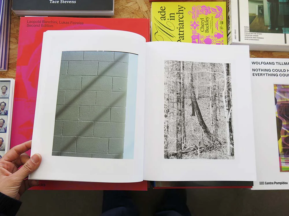 Daniel Shea – Distribution - Image 11
