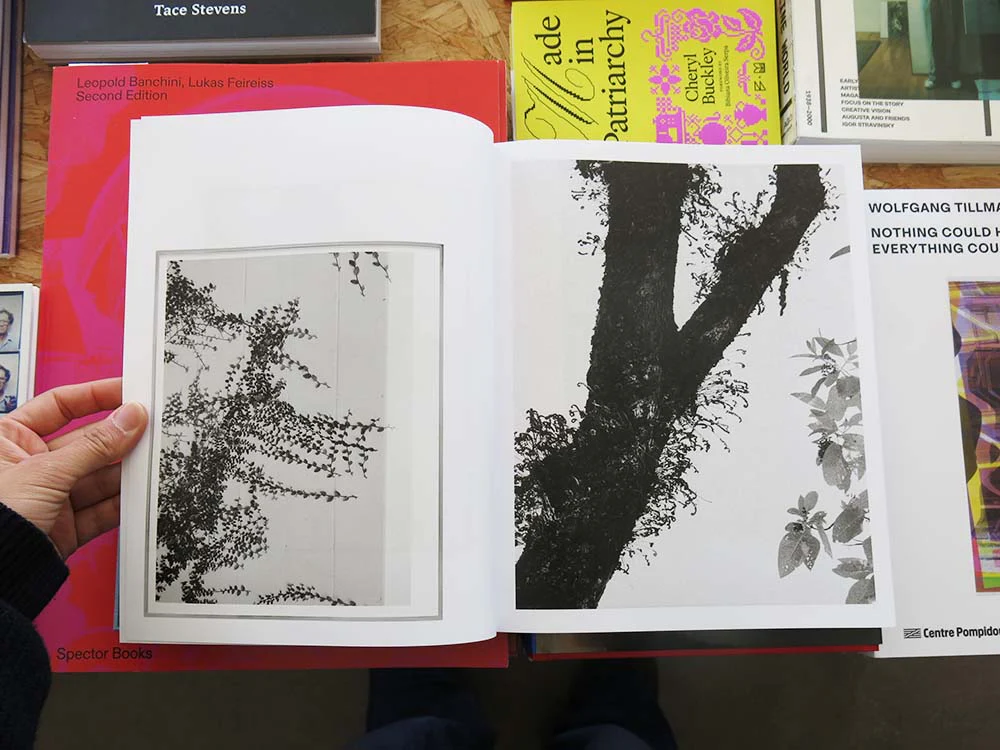 Daniel Shea – Distribution - Image 12