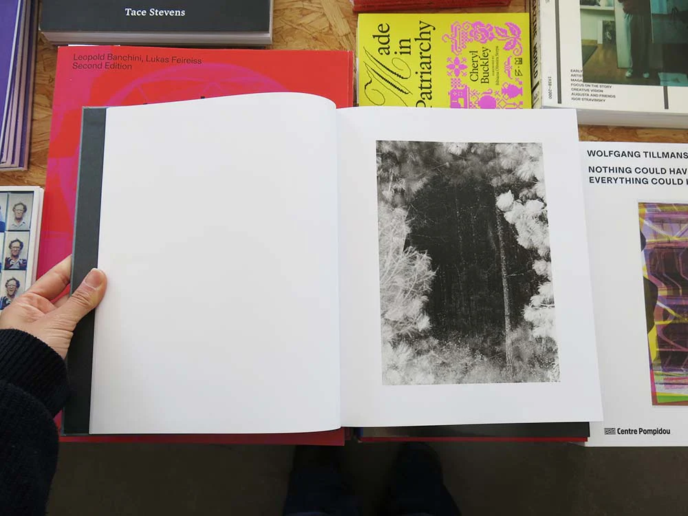 Daniel Shea – Distribution - Image 13