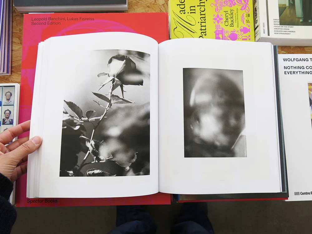 Daniel Shea – Distribution - Image 2