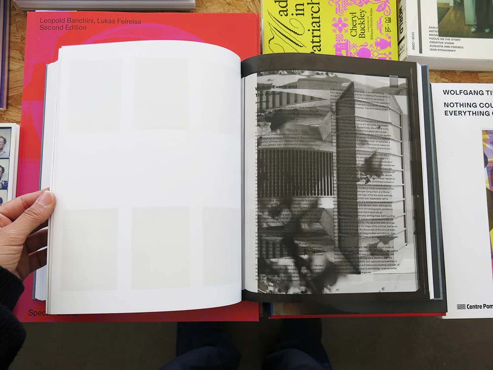 Daniel Shea – Distribution - Image 4