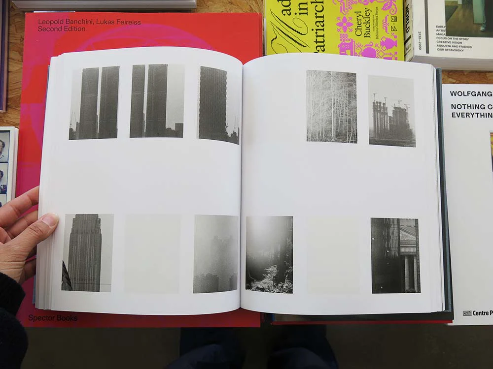 Daniel Shea – Distribution - Image 6