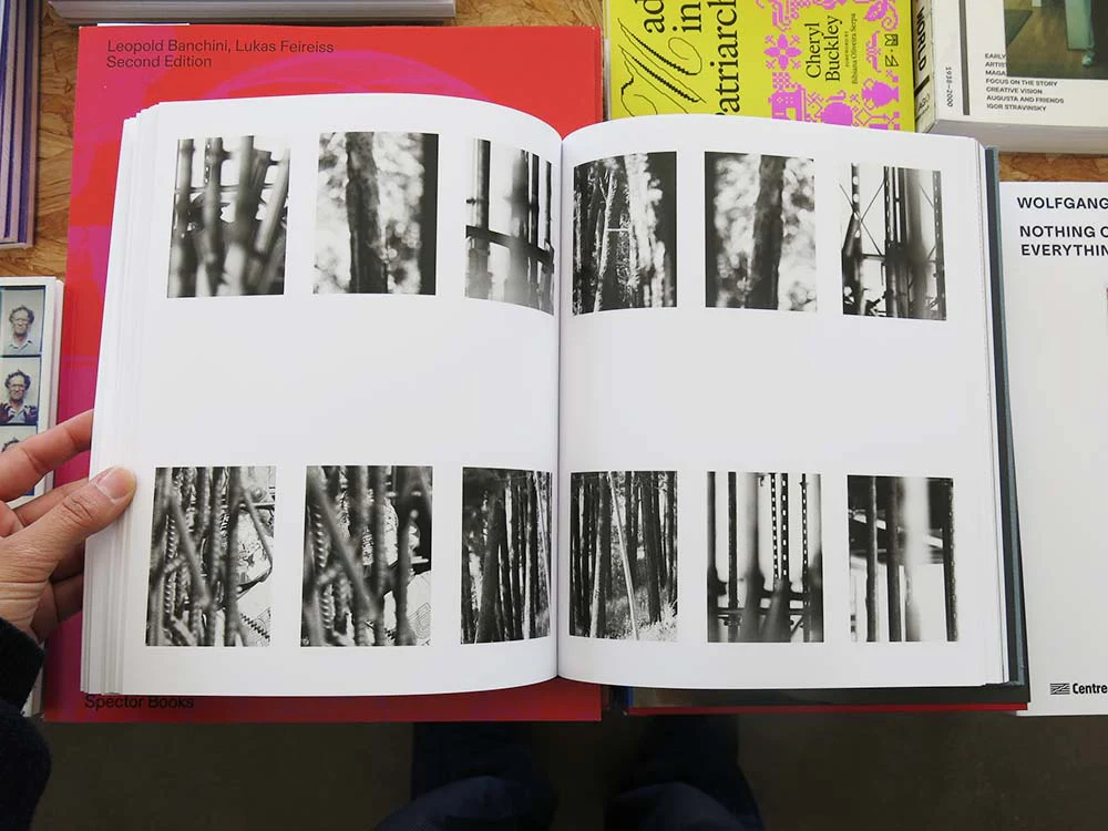 Daniel Shea – Distribution - Image 7