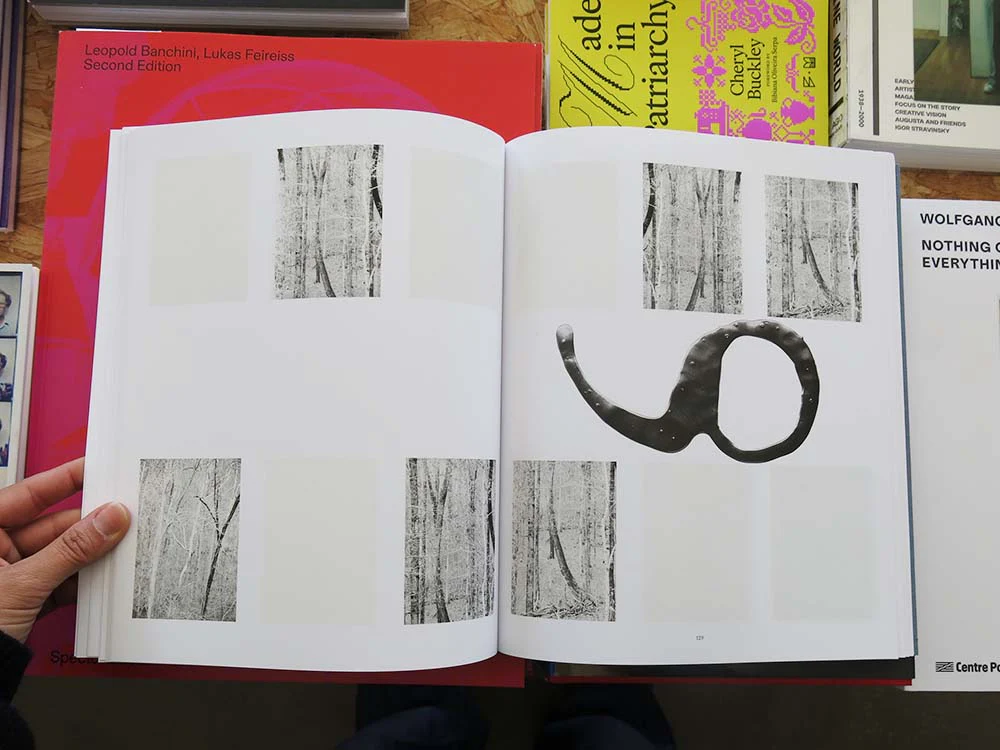 Daniel Shea – Distribution - Image 8