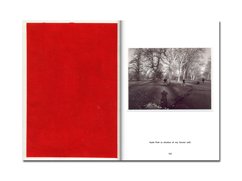David Thomas – Amid - Image 11