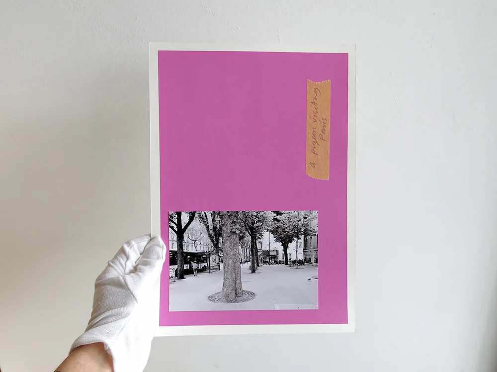 David Thomas – Amid - Image 13