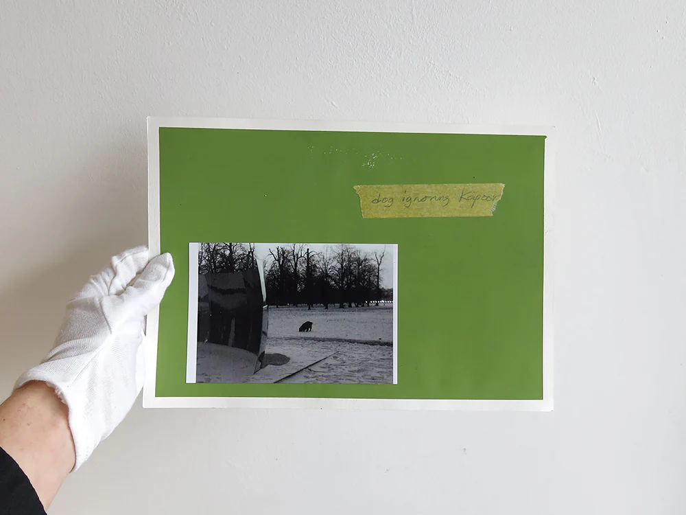 David Thomas – Amid - Image 18