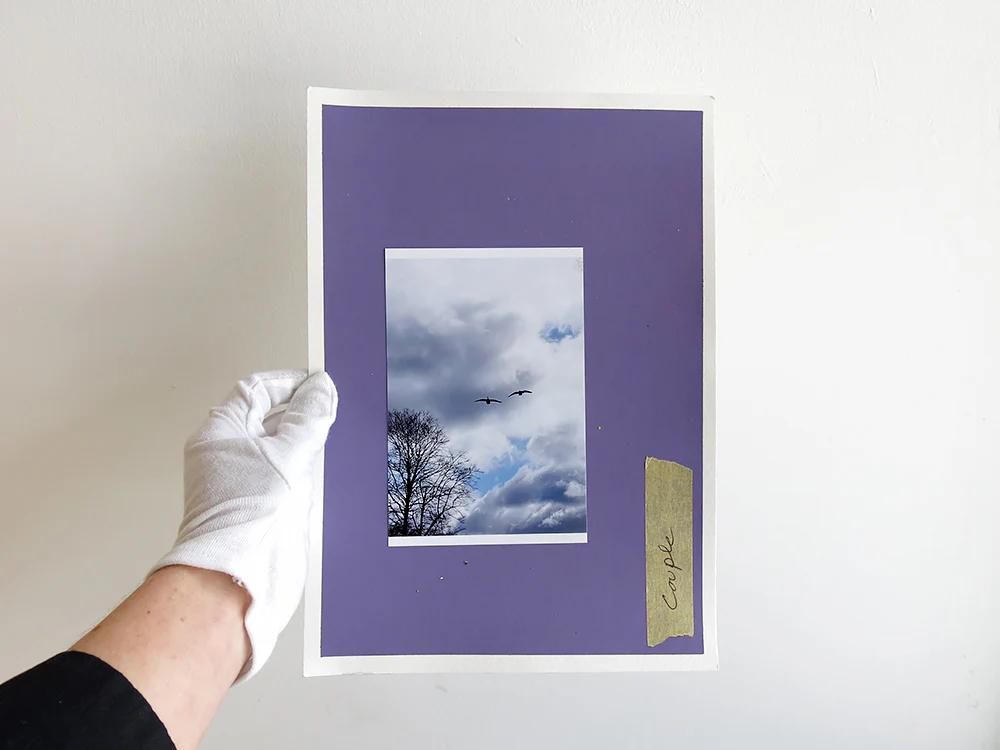 David Thomas – Amid - Image 22