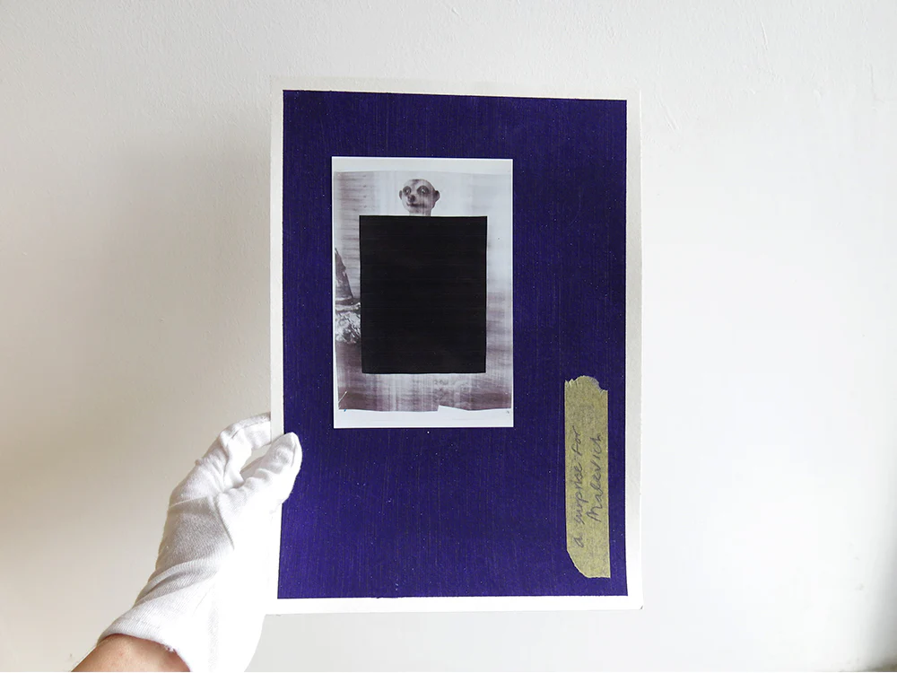 David Thomas – Amid - Image 25