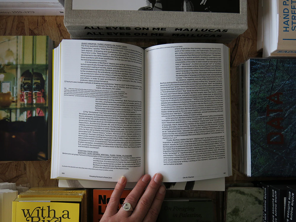Degree Zero in Architecture - Image 10