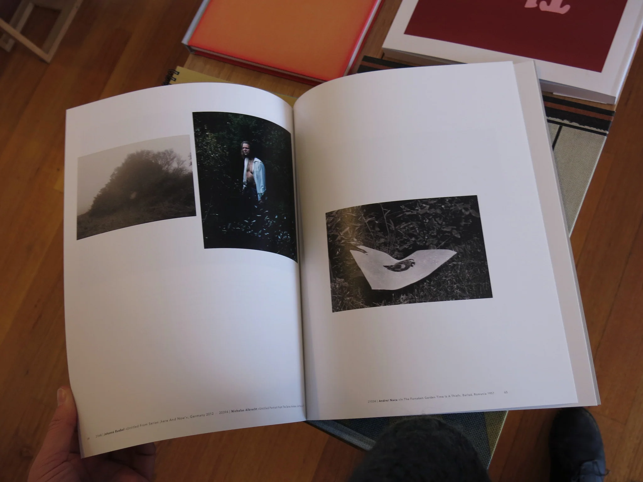 Der Greif - A Process - Image 7