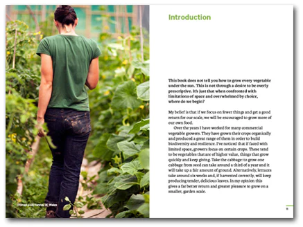 Do Grow: Start with 10 simple vegetables - Image 2