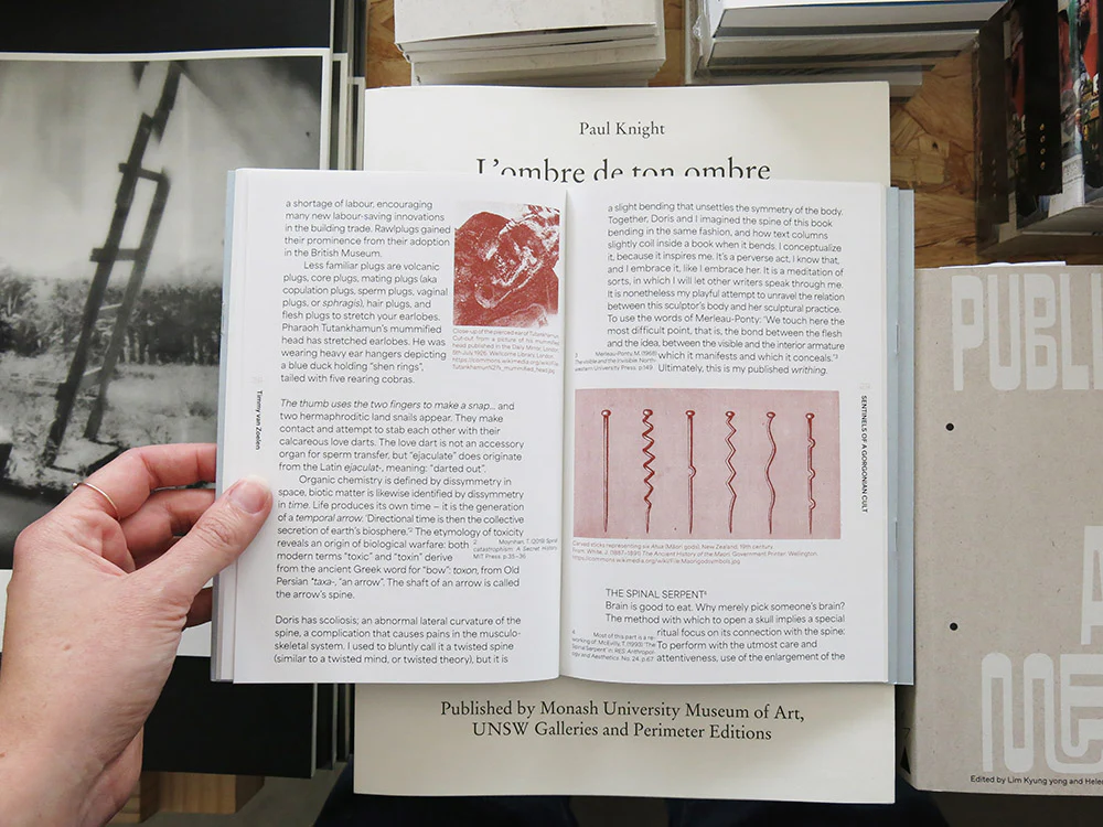 Doris Boerman – Plugs, Pores, Walls and Lures: Self-Design as Sculpture - Image 6