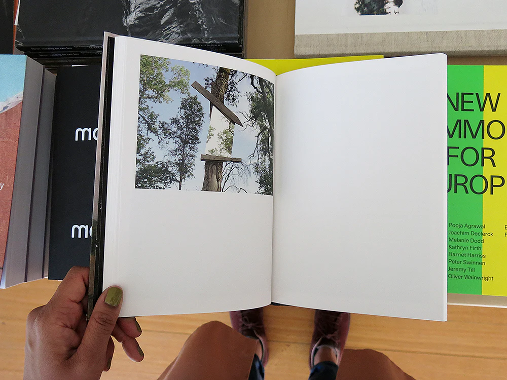 Ed Panar – In the Vicinity - Image 6