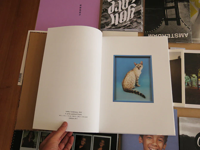 Elad Lassry - Image 2