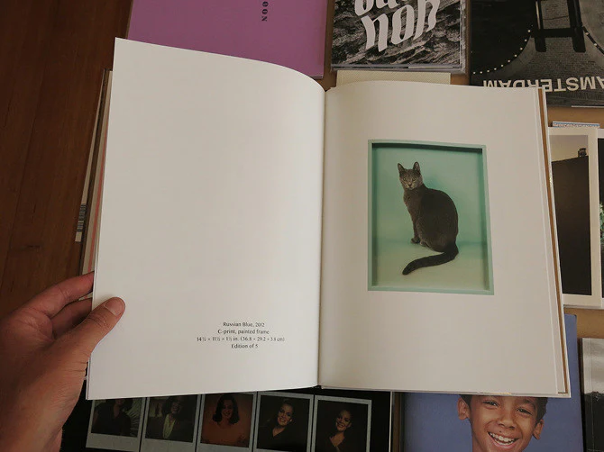 Elad Lassry - Image 7