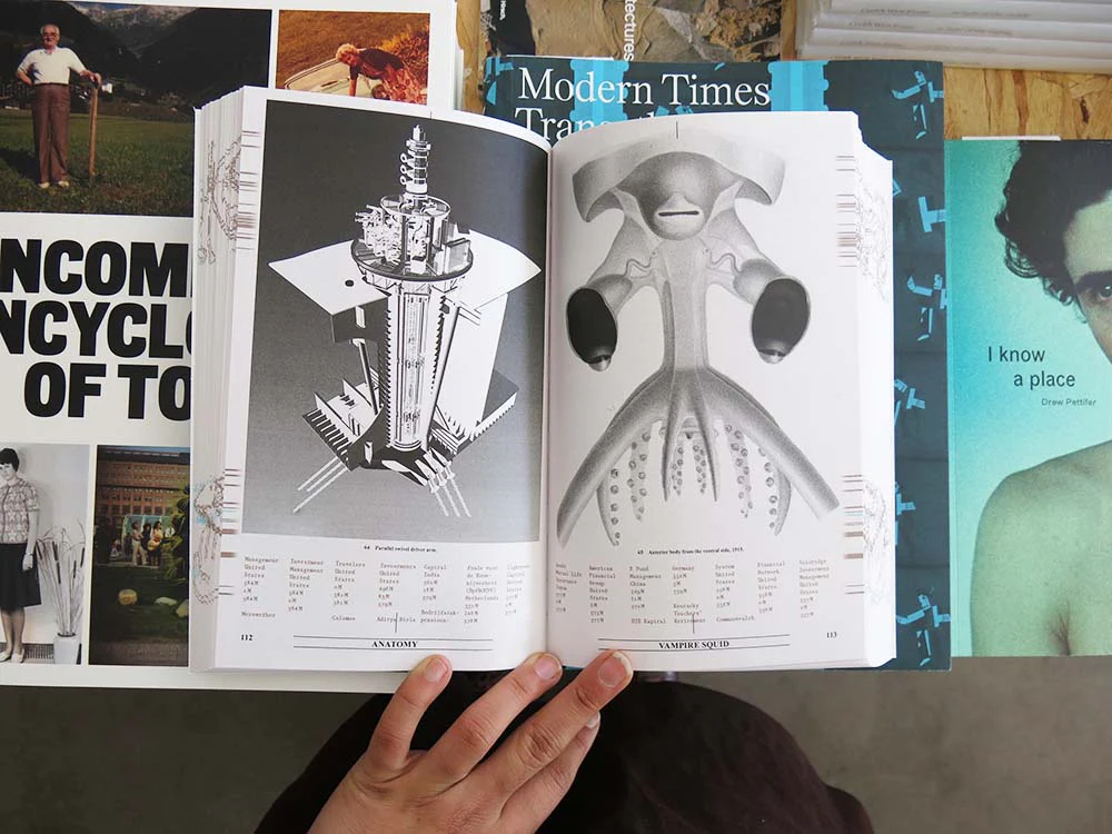 PRE-ORDER: Eline Benjaminsen & Dayna Casey – Collapsed Mythologies: A Geofinancial Atlas - Image 3