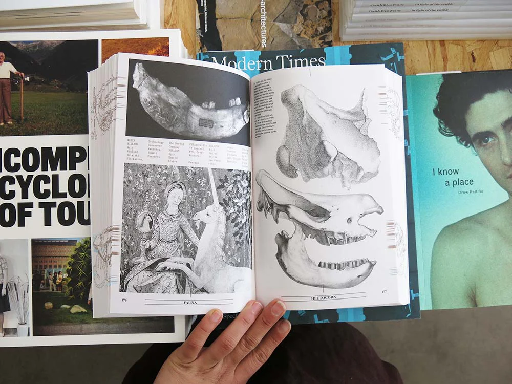 PRE-ORDER: Eline Benjaminsen & Dayna Casey – Collapsed Mythologies: A Geofinancial Atlas - Image 6