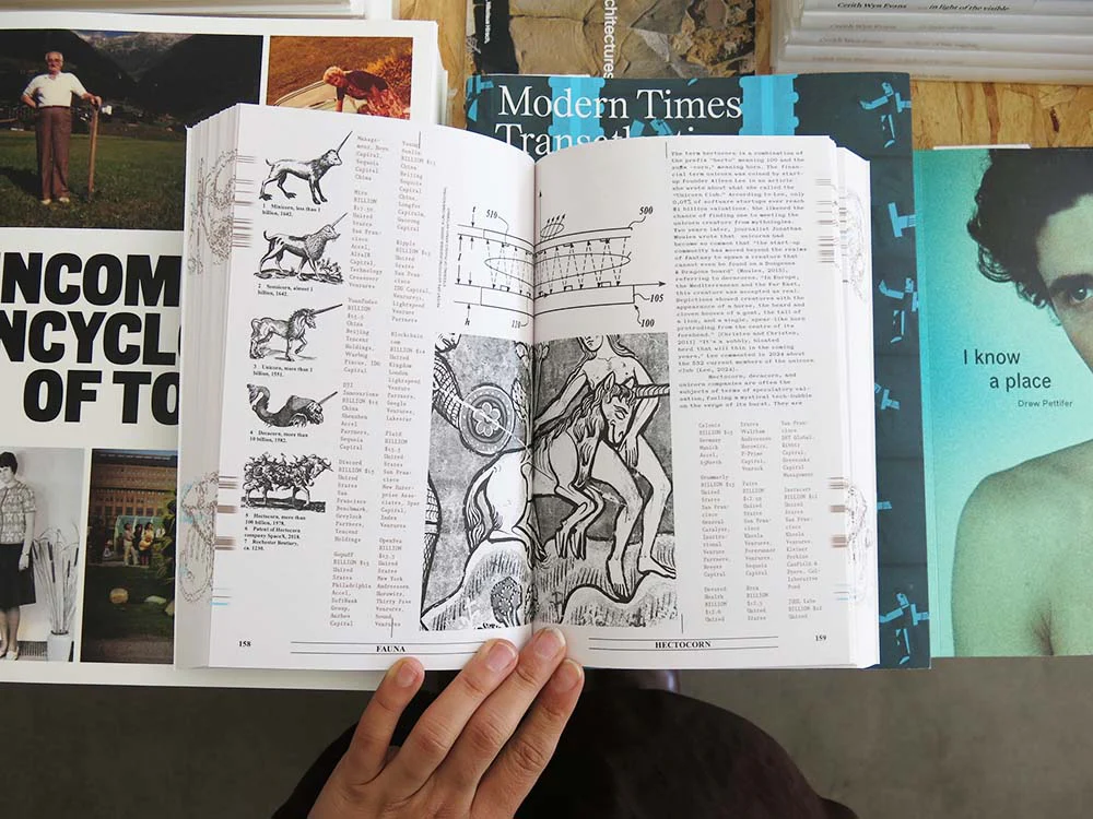 PRE-ORDER: Eline Benjaminsen & Dayna Casey – Collapsed Mythologies: A Geofinancial Atlas - Image 9
