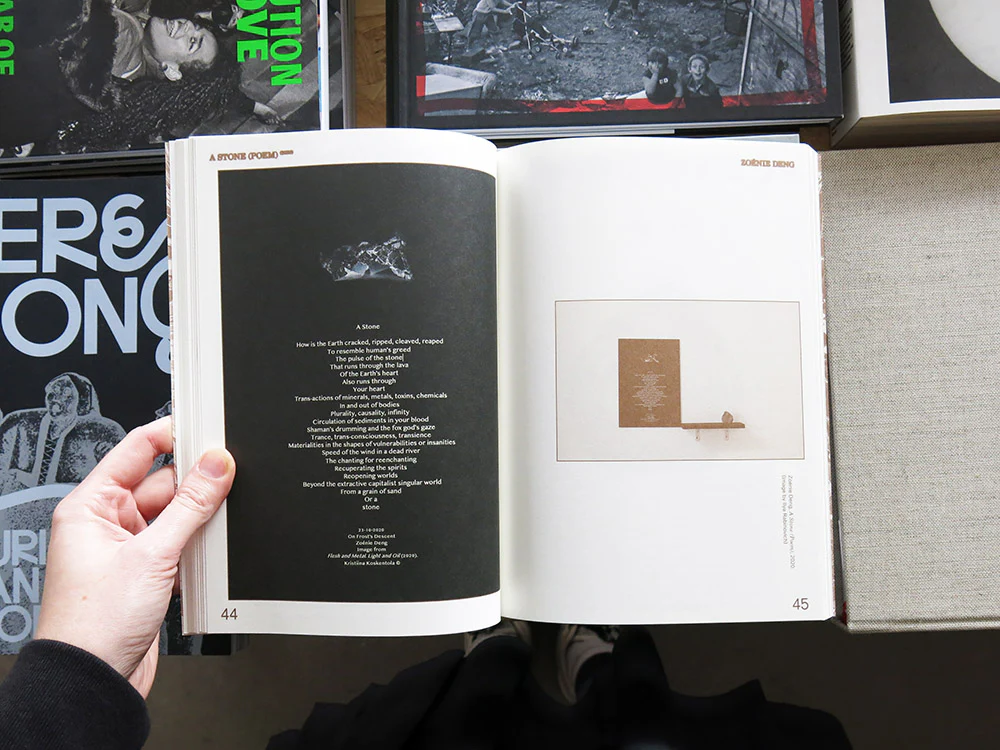 Enfleshed: Ecologies of Entities and Beings - Image 5