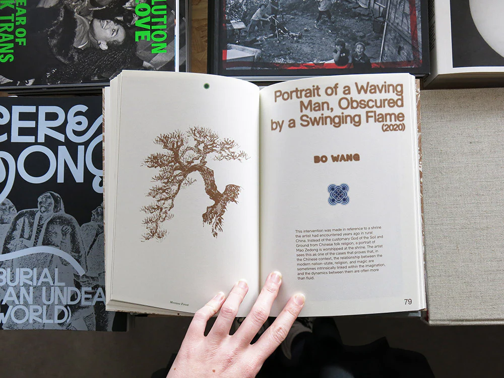 Enfleshed: Ecologies of Entities and Beings - Image 7