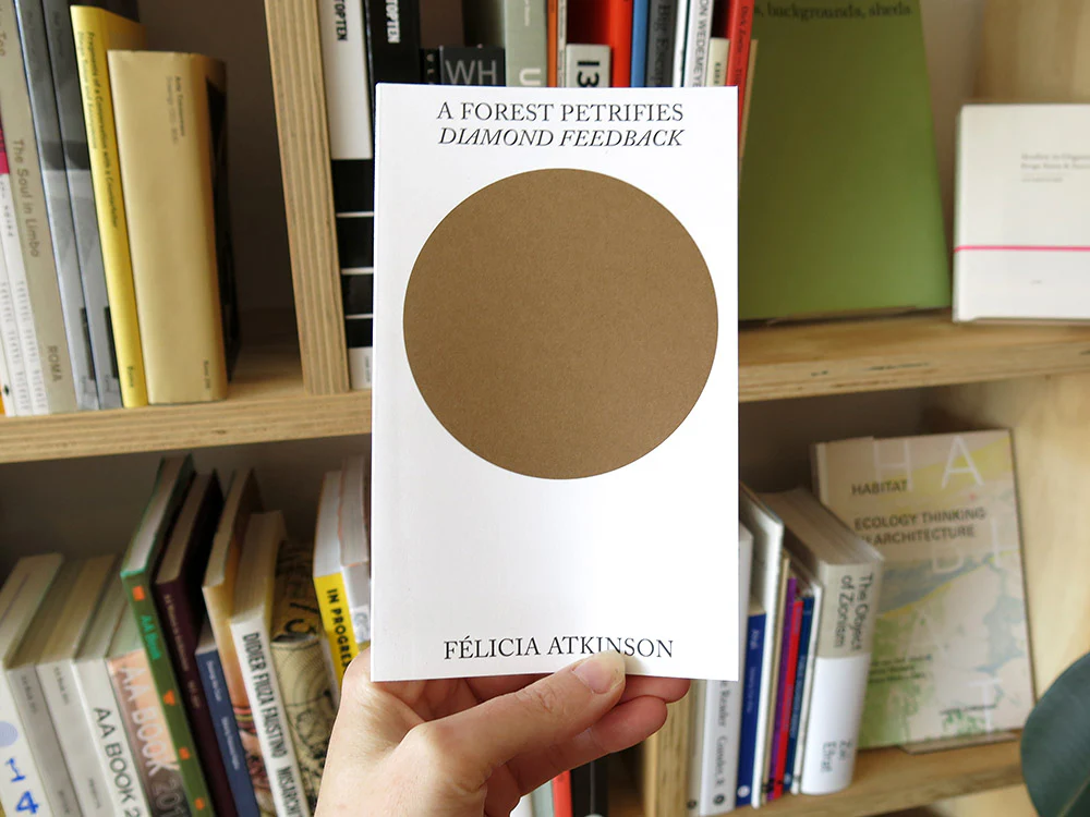 FĂ©licia Atkinson â A Forest Petrifies: Diamond Feedback