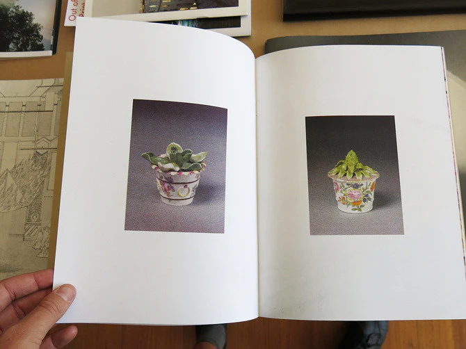 Félicia Atkinson & Bartolomé Sanson - The Last Frontier - Image 6