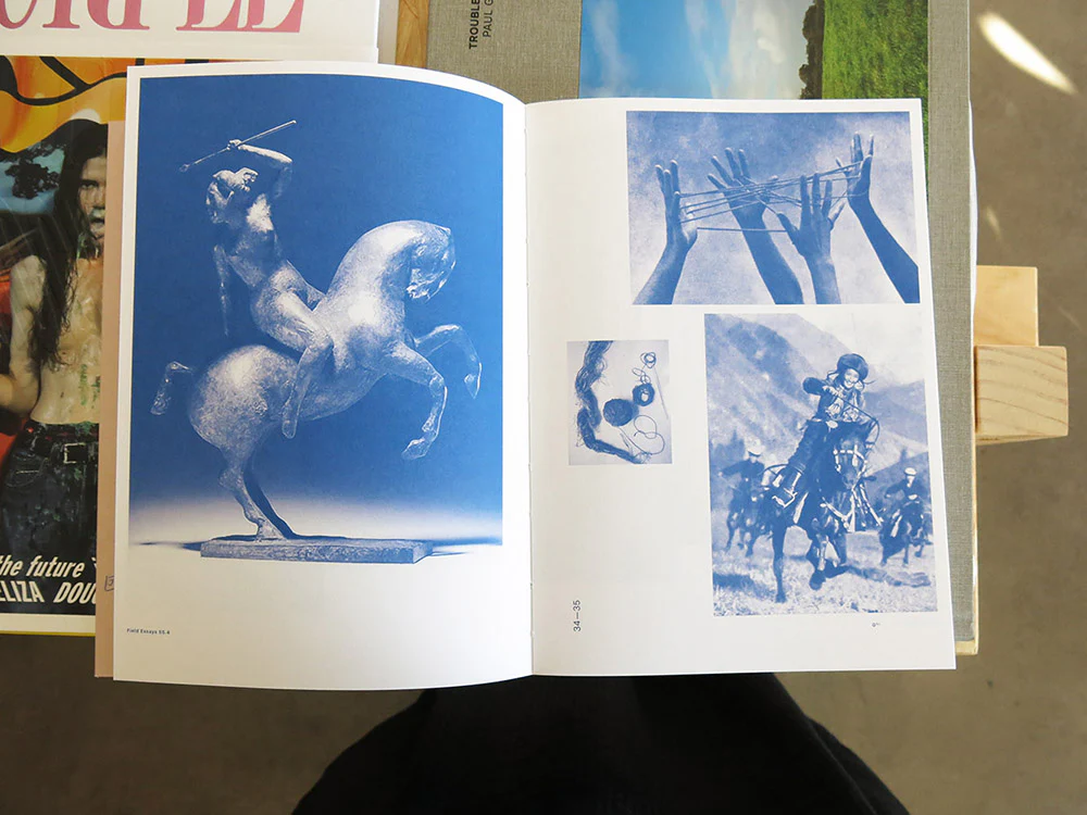 Field Essays #5: Q – Meanderings in worlds of mourning - Image 6