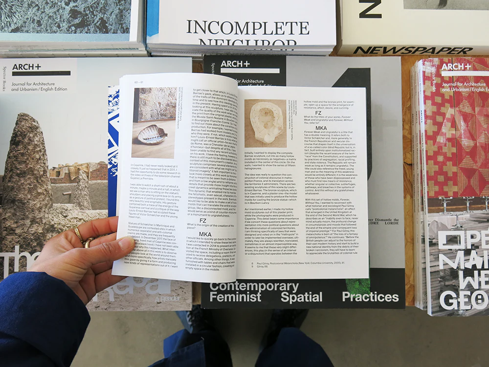 PRE-ORDER: Francesca Zappia – Flâneurs - Image 6