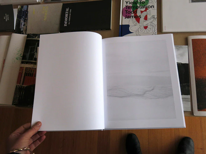 Gerry Johansson - Antarktis - Image 3