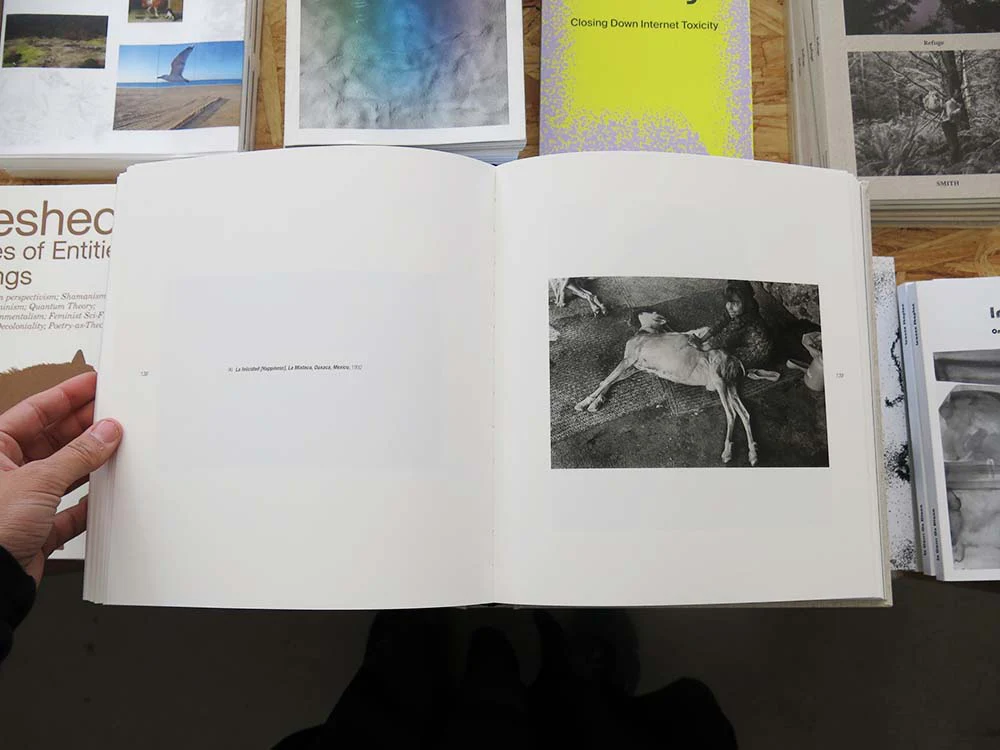 Graciela Iturbide - Image 11