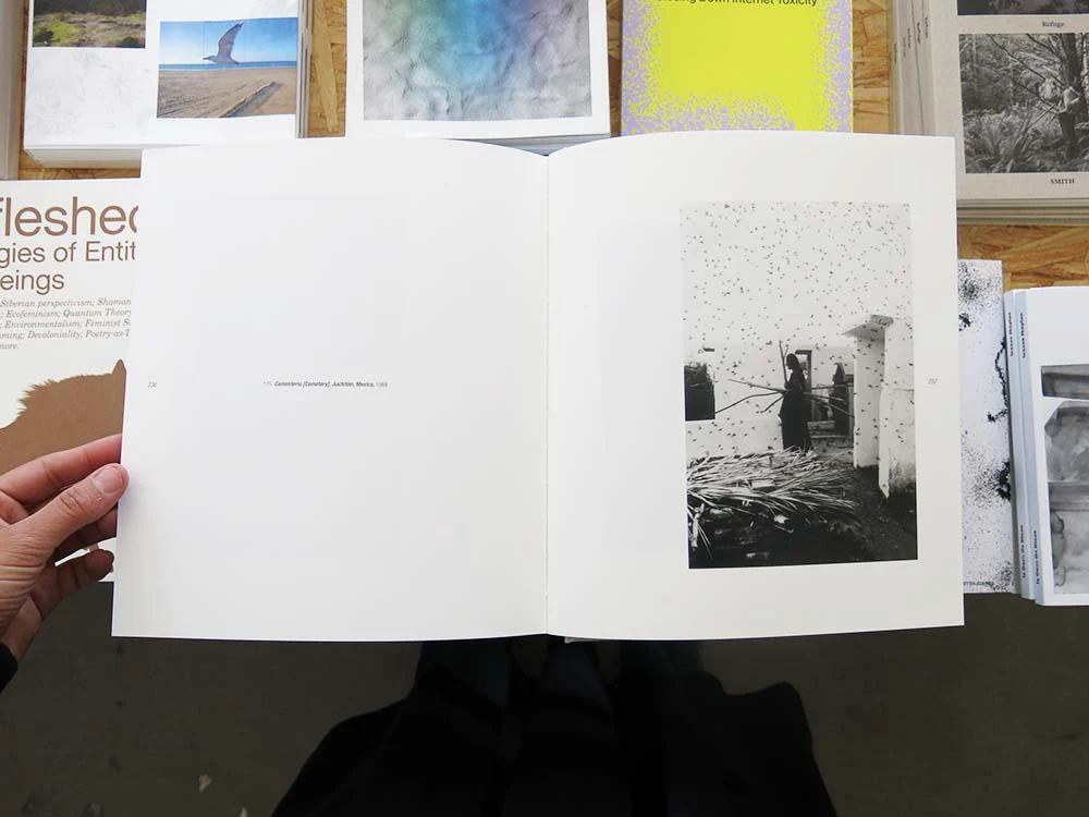 Graciela Iturbide - Image 5