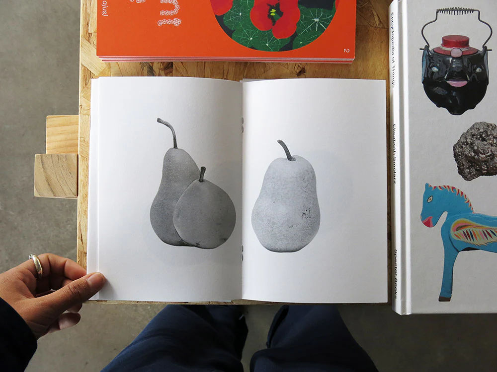 Guadalupe Ruiz – NY Apples and Pears - Image 4