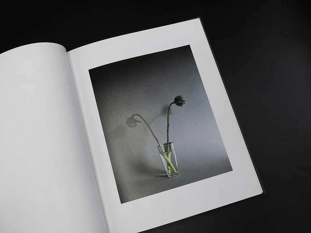 Hanna Liden – Ghost Town (Rare) - Image 3