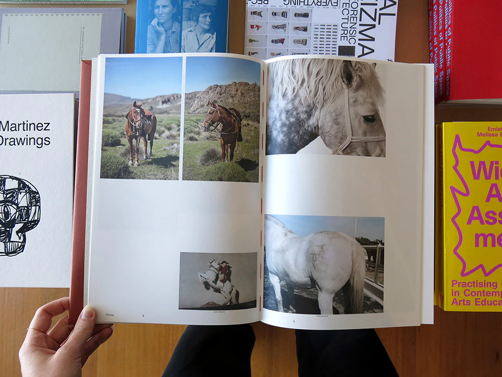 Heleen Peeters – Horse - Image 2