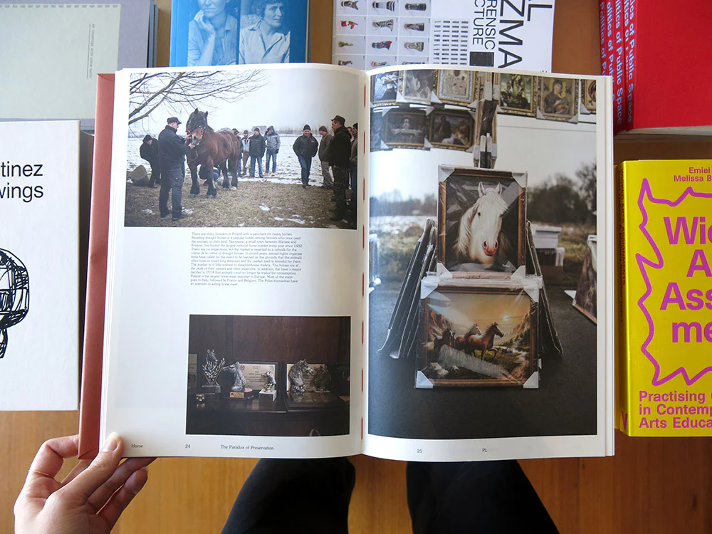 Heleen Peeters – Horse - Image 3