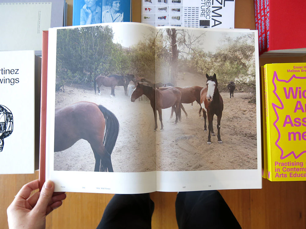 Heleen Peeters – Horse - Image 7