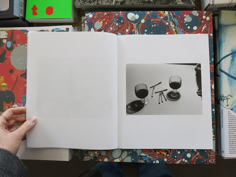 Helena van der Kraan – Still Life - Image 3
