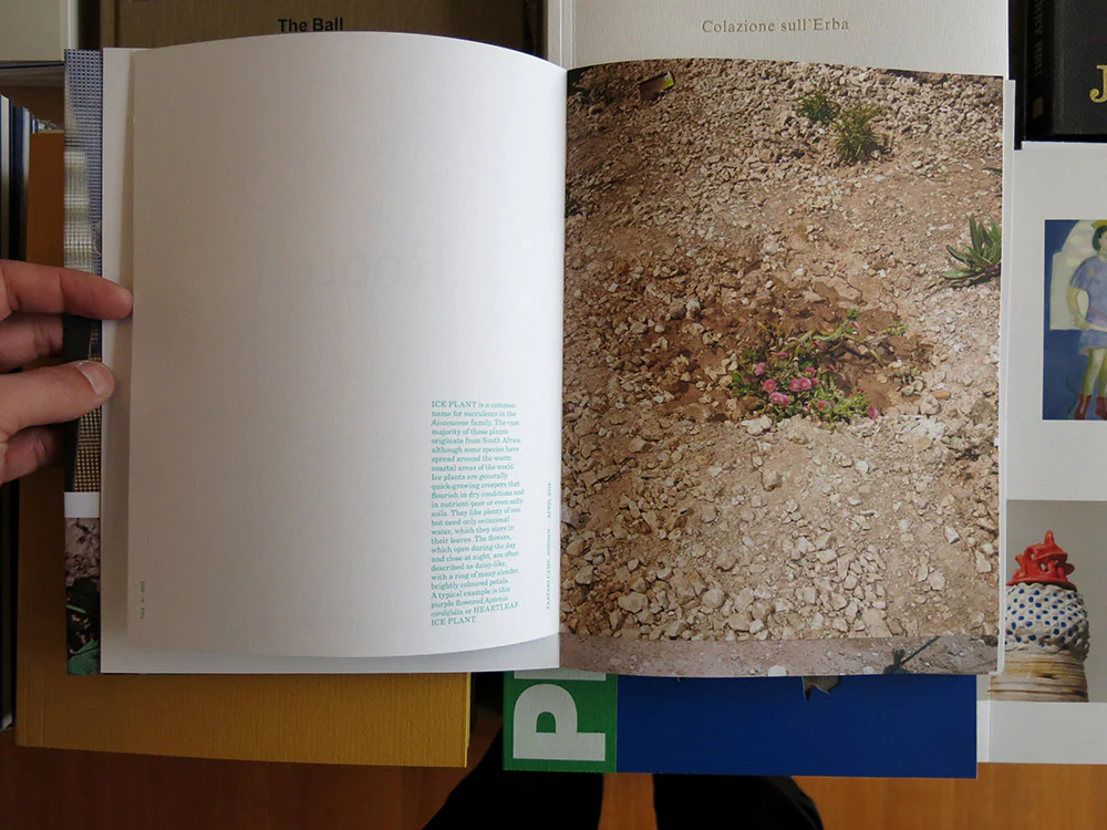 Henk Wildschut - Rooted - Image 2