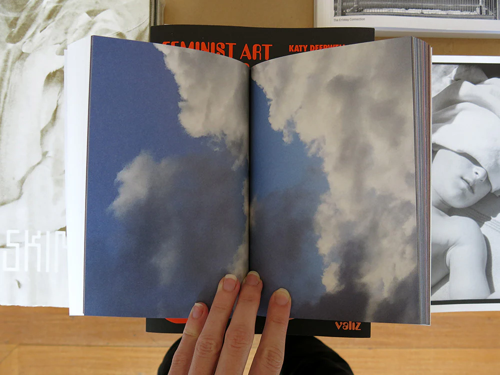 Hilde Bouchez – A Wild Thing (Second Edition) - Image 6