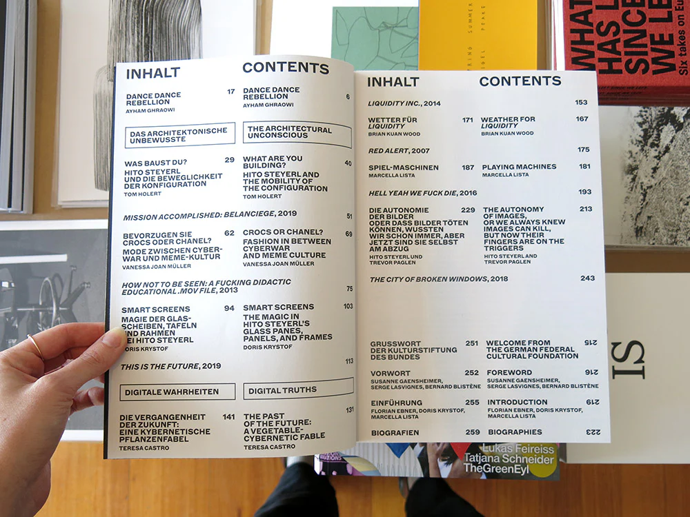 Hito Steyerl – I Will Survive - Image 3