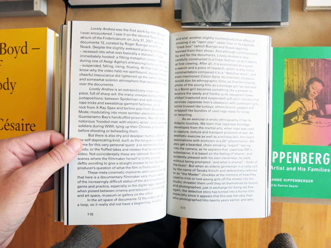 Hito Steyerl - Too Much World - Image 6