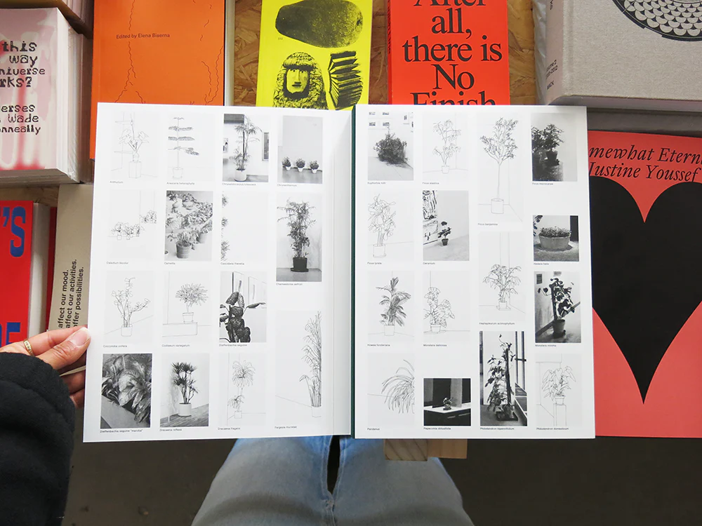 Inge Meijer – The MoMA Plant Collection - Image 2