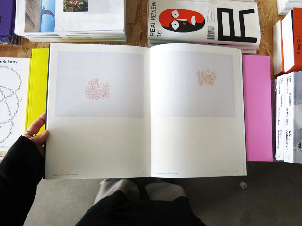 Irene Kopelman ā A Matter of Framing. Notes on Representation Vol. 13 - Image 2