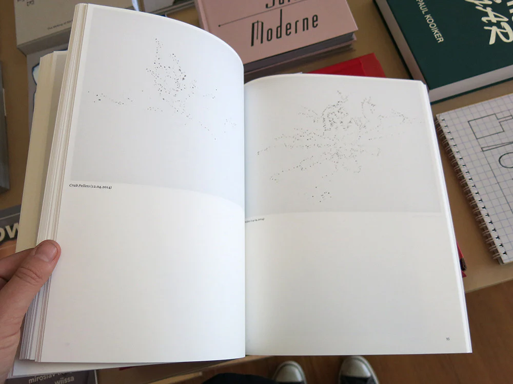Irene Kopelman - Entanglement - Image 5