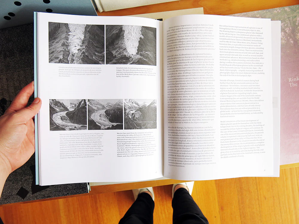 Irene Kopelman - On Glaciers And Avalanches: Notes On Representation Vol. 8 - Image 4