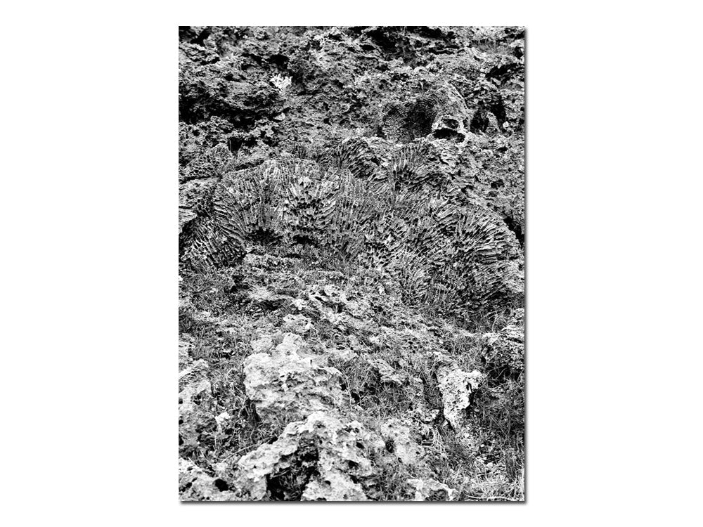 Izabela Pluta – Nihilartikel - Image 12