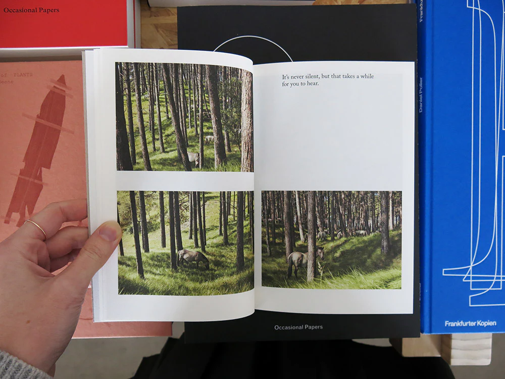 Jaap Scheeren – Flipping the Bird - Image 3